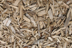 biomass boilers Camasnacroise